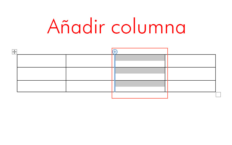 Adding column rows and columns