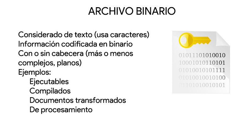 archivo binario
