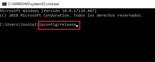 ipconfig release command