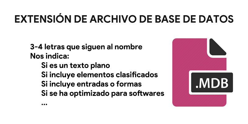 formatos de archivo base de datos