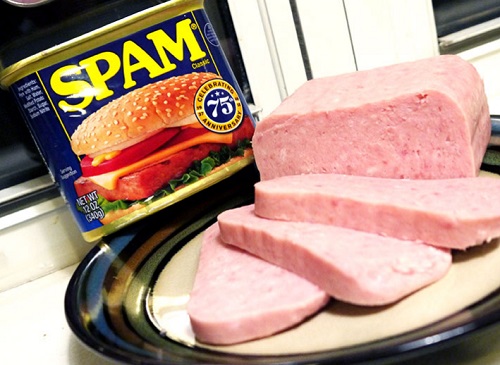 origen de la palabra spam