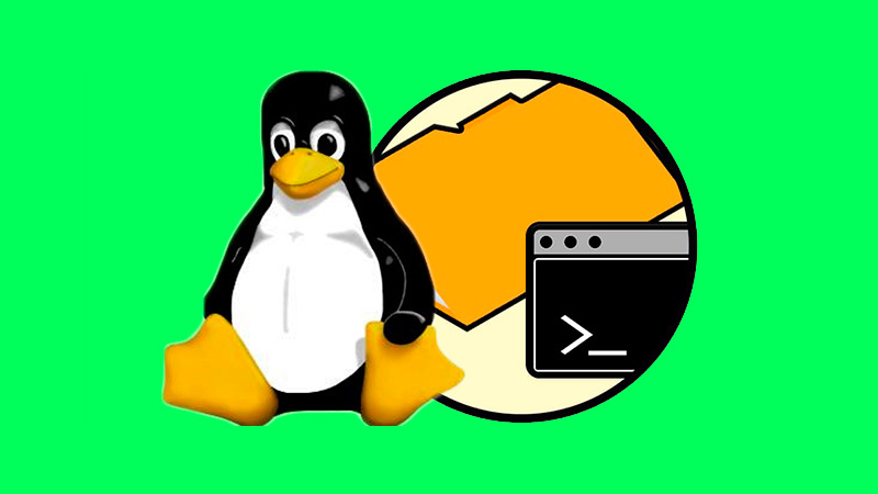 ¿Cuáles son los principales comandos usados en la gestión de ficheros y directorios en Linux?