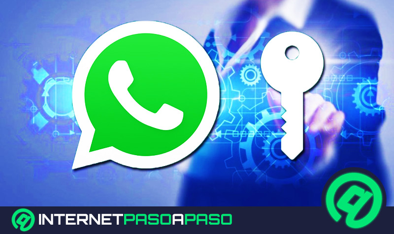 ¿Cómo configurar las opciones de privacidad en WhatsApp? Guía paso a paso