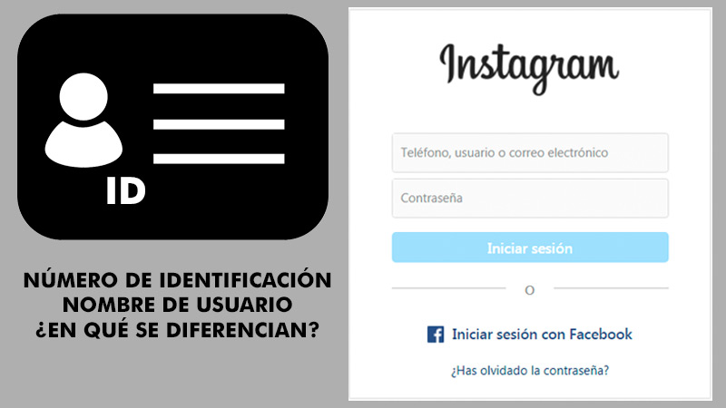 ¿Cuál es la diferencia entre el ID de una cuenta y el nombre de usuario en Instagram?