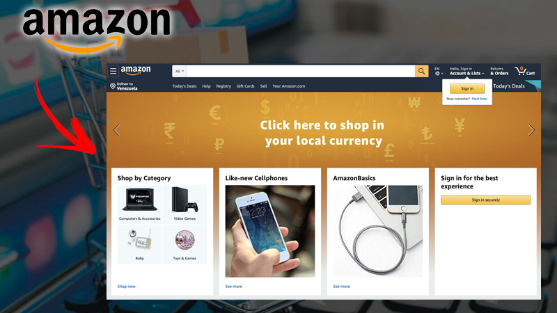 ¿Cuáles son las características de Amazon?