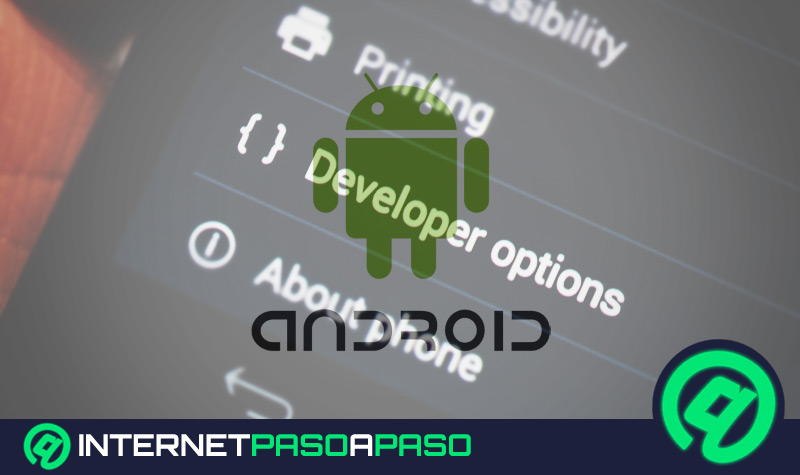 ¿Cómo activar las opciones de desarrollador en tu dispositivo Android y cuáles son las mejores? Guía paso a paso