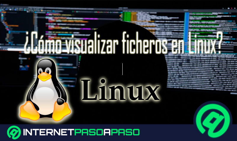 ¿Cómo visualizar ficheros en tu ordenador con Linux fácil y rápido? Guía paso a paso