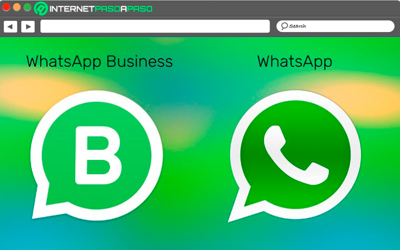 ¿Hay alguna diferencia entre los grupos de Whatsapp Business y de Whatsapp?