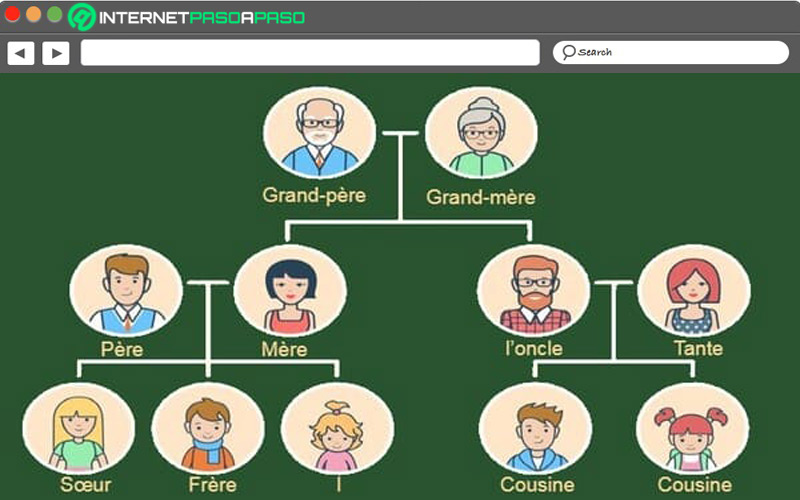 ¿Qué información necesito para crear un árbol genealógico?