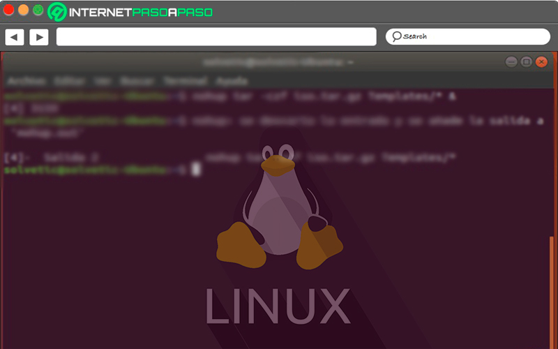 ¿Qué debo tener en cuenta antes de programar un proceso en Linux?